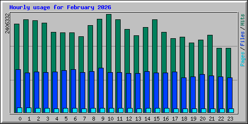 Hourly usage for February 2026