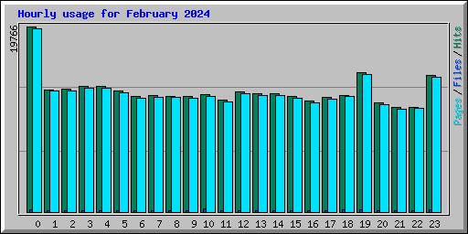 Hourly usage for February 2024