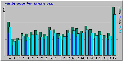 Hourly usage for January 2025
