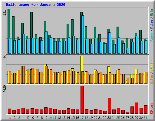 Daily usage for January 2026