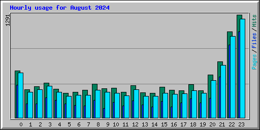 Hourly usage for August 2024