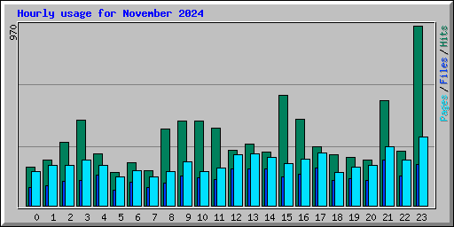 Hourly usage for November 2024