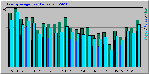 Hourly usage for December 2024