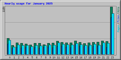 Hourly usage for January 2025