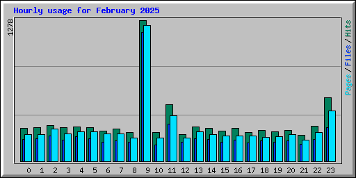 Hourly usage for February 2025