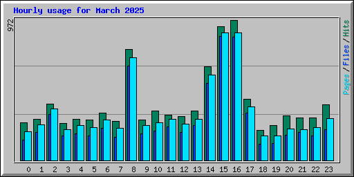 Hourly usage for March 2025