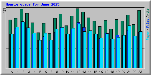 Hourly usage for June 2025