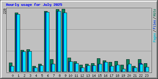 Hourly usage for July 2025