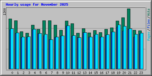 Hourly usage for November 2025