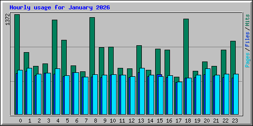 Hourly usage for January 2026