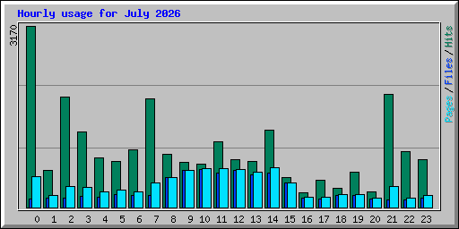 Hourly usage for July 2026