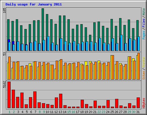 Daily usage for January 2011