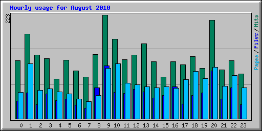 Hourly usage for August 2010