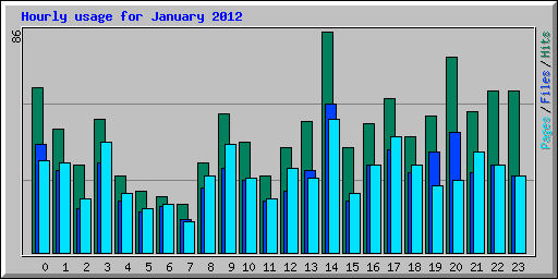 Hourly usage for January 2012