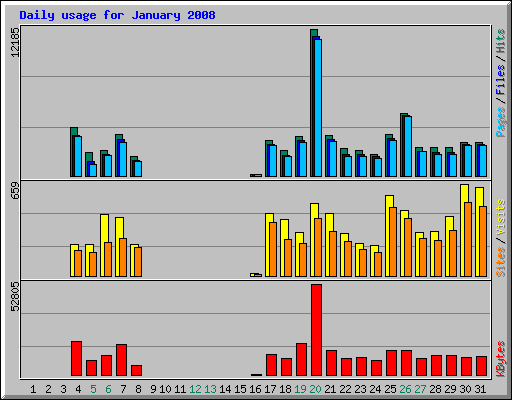 Daily usage for January 2008