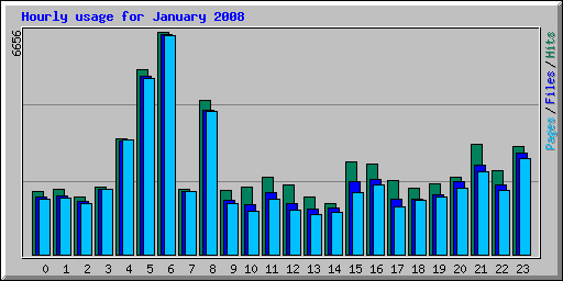 Hourly usage for January 2008