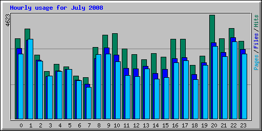 Hourly usage for July 2008