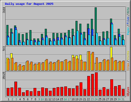 Daily usage for August 2025