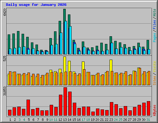 Daily usage for January 2026