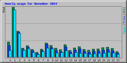 Hourly usage for November 2024