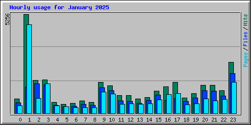 Hourly usage for January 2025