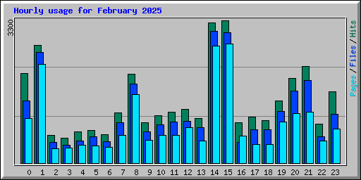 Hourly usage for February 2025