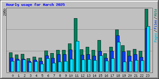 Hourly usage for March 2025
