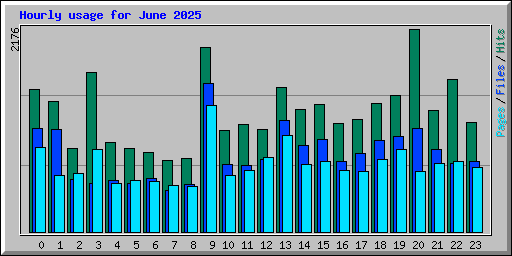 Hourly usage for June 2025