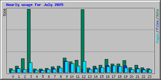 Hourly usage for July 2025