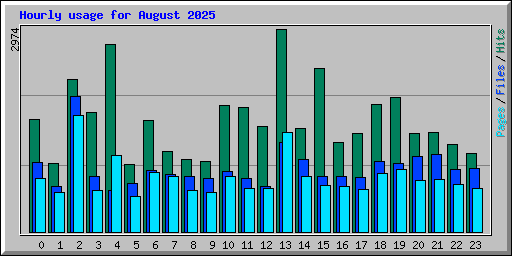 Hourly usage for August 2025