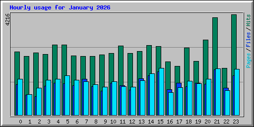 Hourly usage for January 2026