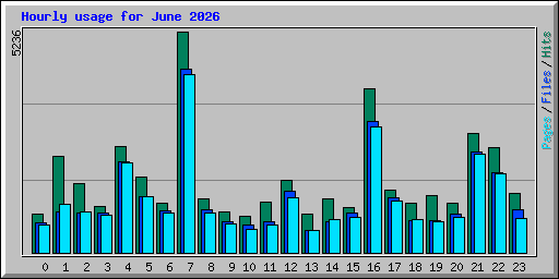 Hourly usage for June 2026