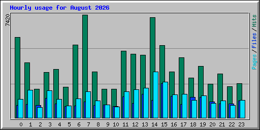 Hourly usage for August 2026