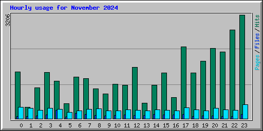 Hourly usage for November 2024