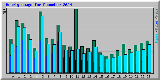 Hourly usage for December 2024