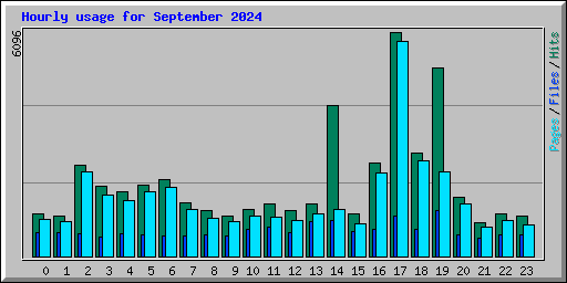 Hourly usage for September 2024