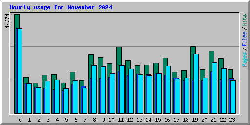 Hourly usage for November 2024