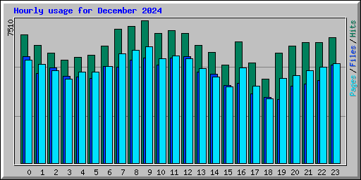 Hourly usage for December 2024