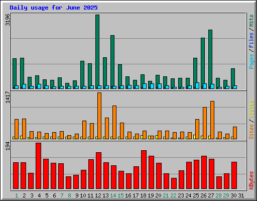 Daily usage for June 2025
