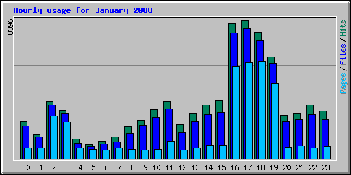 Hourly usage for January 2008
