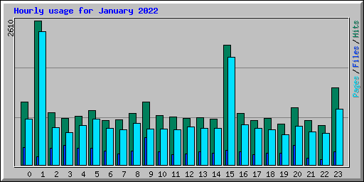 Hourly usage for January 2022
