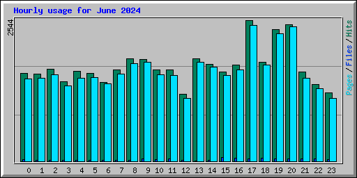 Hourly usage for June 2024