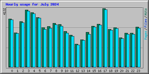 Hourly usage for July 2024