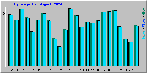 Hourly usage for August 2024