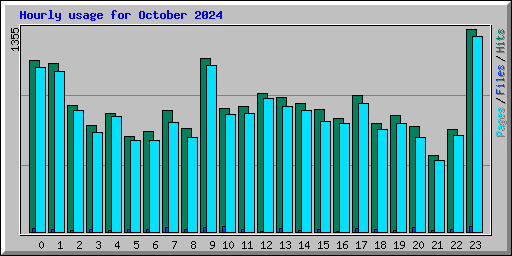 Hourly usage for October 2024