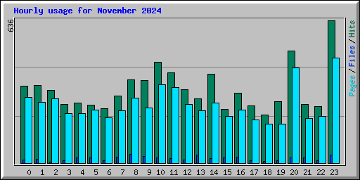 Hourly usage for November 2024