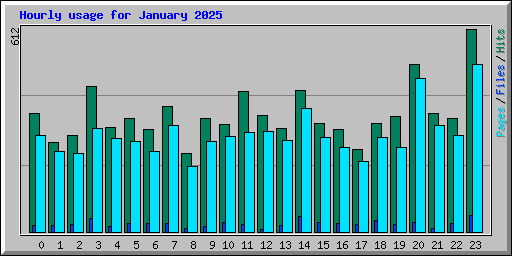 Hourly usage for January 2025