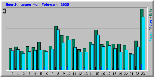 Hourly usage for February 2025