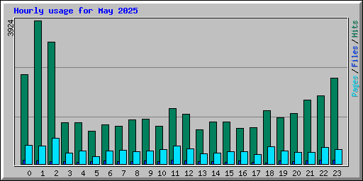 Hourly usage for May 2025