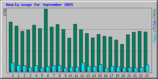 Hourly usage for September 2025